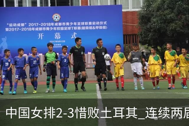 中国女排2-3惜败土耳其 连续两届奥运会无缘4强